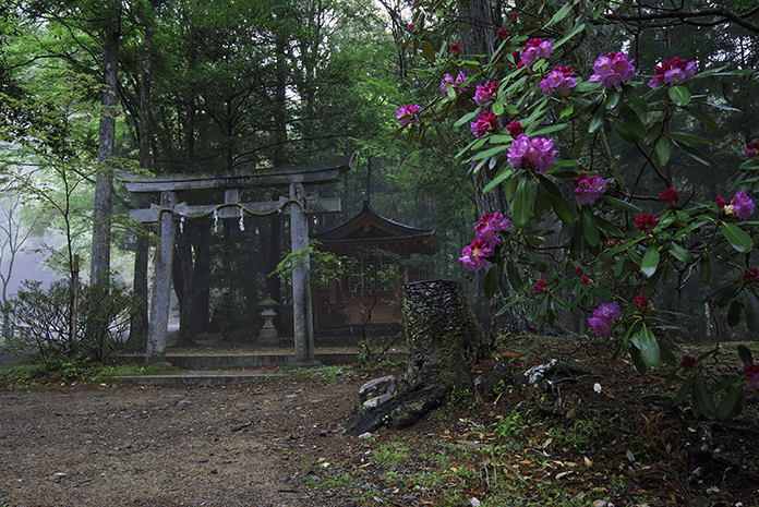 夏の山並