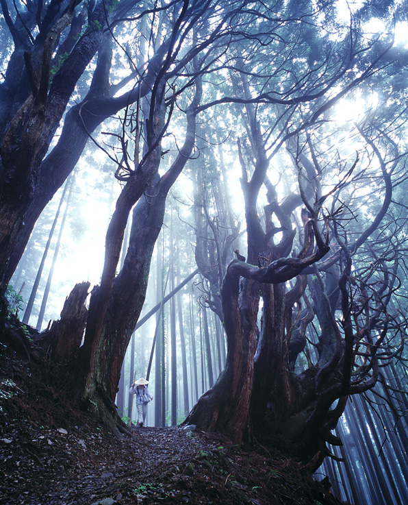 高野山へ