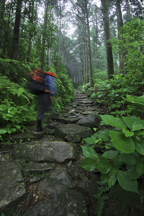 山道を急ぐ