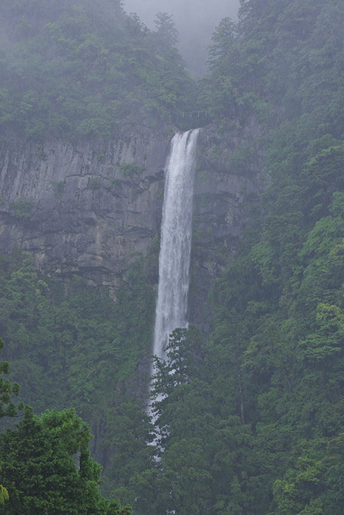 山道を急ぐ