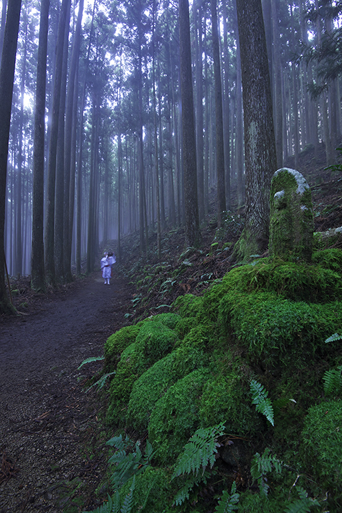 山道を急ぐ