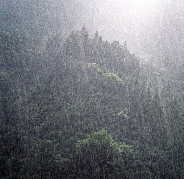 驟雨