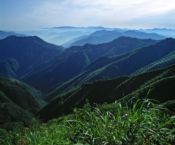 山並爽やか