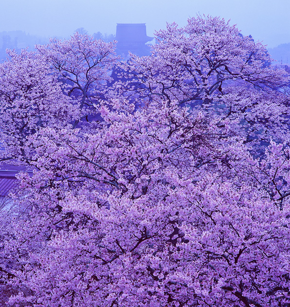 金峯山寺