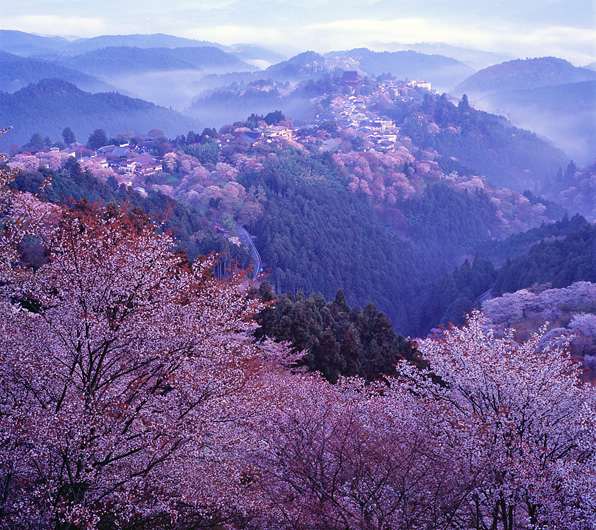 吉野山